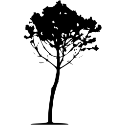 tree 34 icon