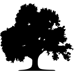 tree 49 icon