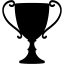 black trophy 2 icon