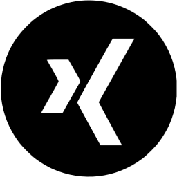 xing 4 icon