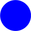 blue circle icon