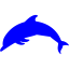blue dolphin icon