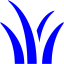 blue grass icon