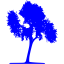 tree 33