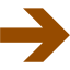 brown arrow 21 icon