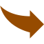 brown arrow 54 icon