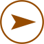 brown arrow right 8 icon