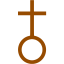 brown church 2 icon