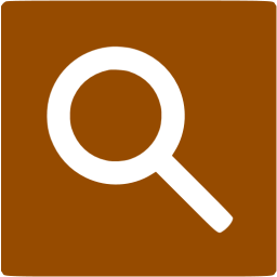 google web search icon