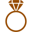 brown ring 2 icon