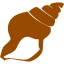 brown seashell icon