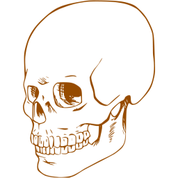 skull 38 icon