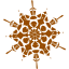 brown snowflake 40 icon