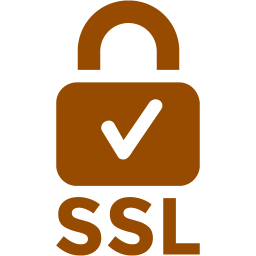 ssl badge 2 icon