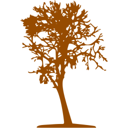 tree 16 icon