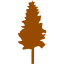 tree 19