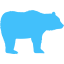 caribbean blue bear 4 icon