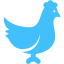 caribbean blue chicken icon