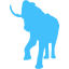 elephant 2