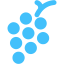 caribbean blue grapes icon