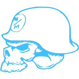 skull 14 icon