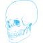 caribbean blue skull 38 icon