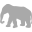 dark gray elephant 7 icon