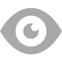 eye 2 icon