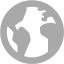 dark gray globe 7 icon