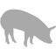 dark gray pig 5 icon