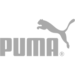 puma icon