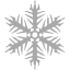 dark gray snowflake 16 icon