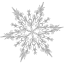 dark gray snowflake 41 icon