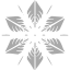 dark gray snowflake 5 icon