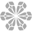 dark gray snowflake 9 icon