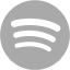 dark gray spotify icon