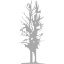 dark gray tree 14 icon