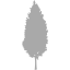 dark gray tree 3 icon