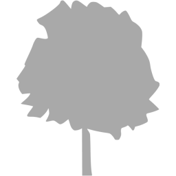 tree 37 icon