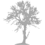 dark gray tree 48 icon