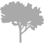 dark gray tree 60 icon