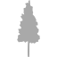 dark gray tree 75 icon