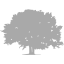 dark gray tree 78 icon