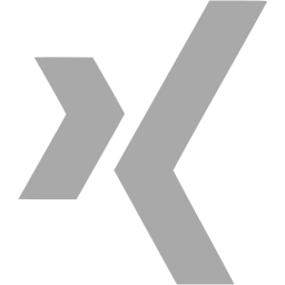 xing icon