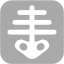 dark gray xray icon