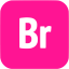 deep pink adobe br icon