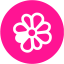 deep pink icq 4 icon