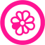 deep pink icq 5 icon