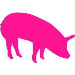 pig 5 icon