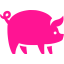 pig